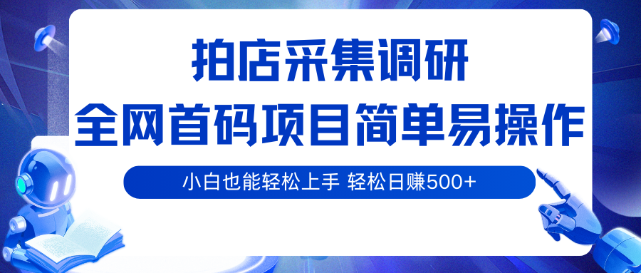 拍店采集调研，全网首码项目，简单易操作， 小白也能轻松上手，轻松日赚500+-小二项目网