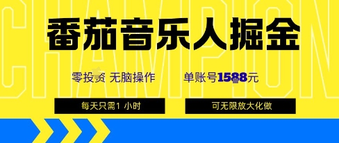 番茄音乐人掘金,单账号最高可撸1k+,可无限矩阵去做,零投入-小二项目网