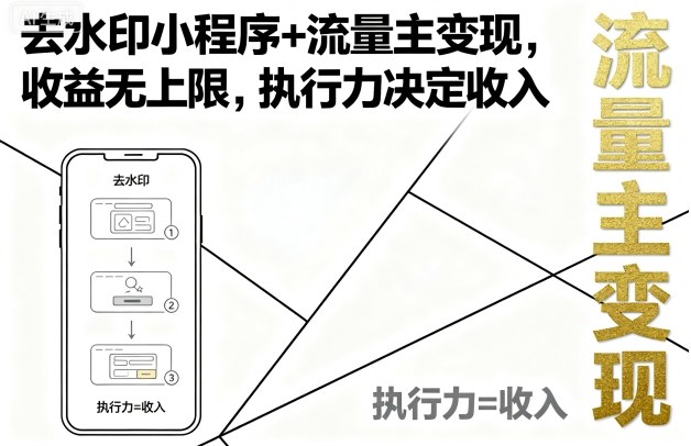 去水印小程序+流量主变现，收益无上限，执行力决定收入-小二项目网