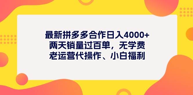 最新拼多多项目日入4000+两天销量过百单，无学费、老运营代操作、小白福利-小二项目网