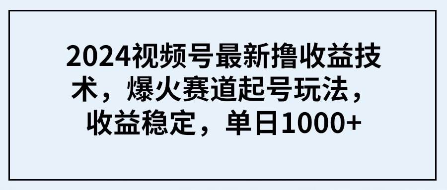 2024视频号最新撸收益技术，爆火赛道起号玩法，收益稳定，单日1000+-小二项目网