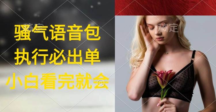 执行就出单，日入2000+，超火骚气语音包，小白看完课程就能马上实操-小二项目网