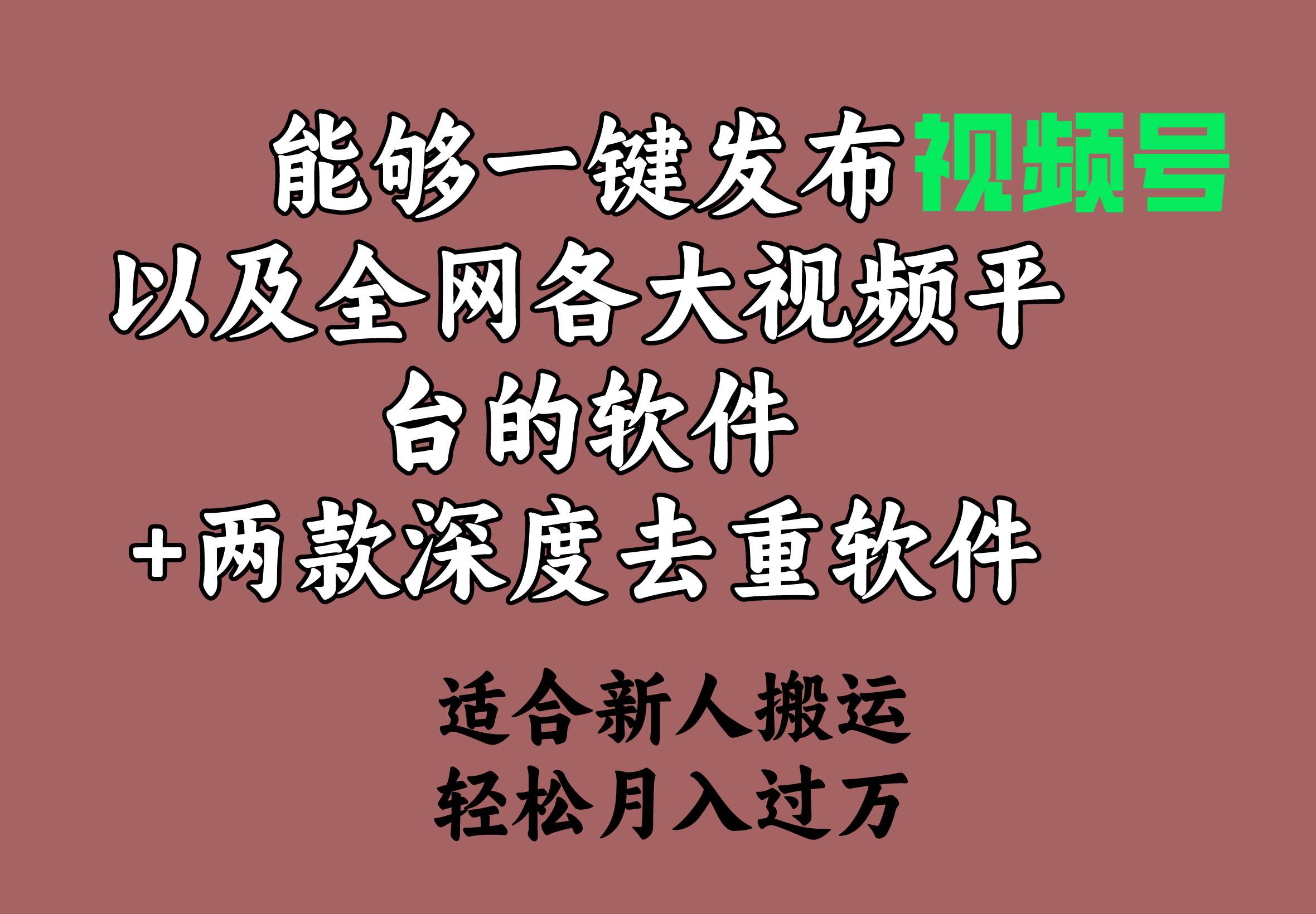 能够一键发布视频号以及全网各大视频平台的软件+两款深度去重软件 适合...-小二项目网