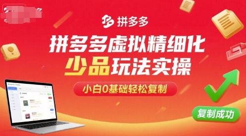 拼多多虚拟精细化少品玩法实操，小白0基础轻松复制-小二项目网