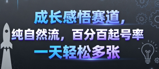 成长感悟赛道，纯自然流，百分百起号率 一天轻松多张-小二项目网