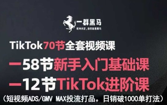 TikTok全套视频课，新手入门+进阶课，短视频ADS-GMV MAX投流打品，日销破1000单打法-小二项目网