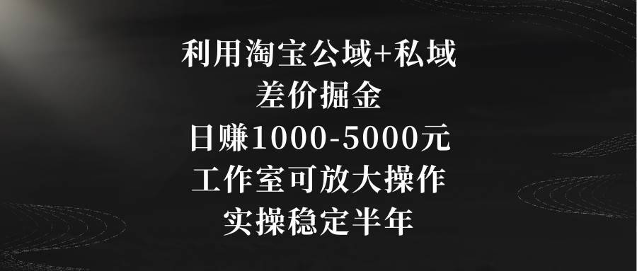 利用淘宝公域+私域差价掘金，日赚1000-5000元，工作室可放大操作，实操...-小二项目网