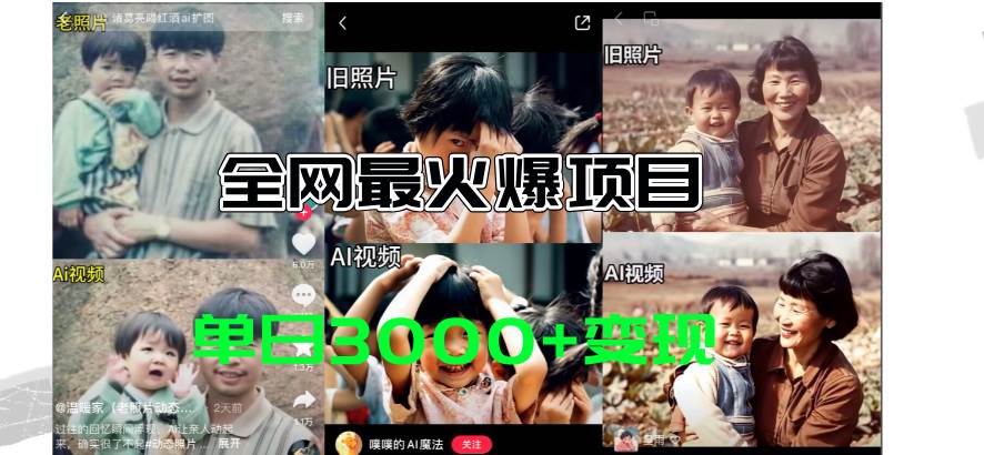 全网爆火的AI让老照片动起来教程，蹭热点日赚3000+，内含免费工具一键...-小二项目网