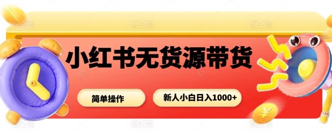 小红书无货源带货项目，简单无脑，新人小白日入多张-小二项目网