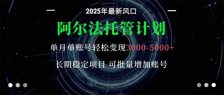 （16360期）阿尔法托管计划 单账号月入3000-5000，长期稳定项目，新手小白轻松上手。-小二项目网