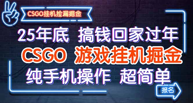 （16343期）25年底搞钱回家过年，CSGO游戏挂机掘金，纯手机操作超简单-小二项目网