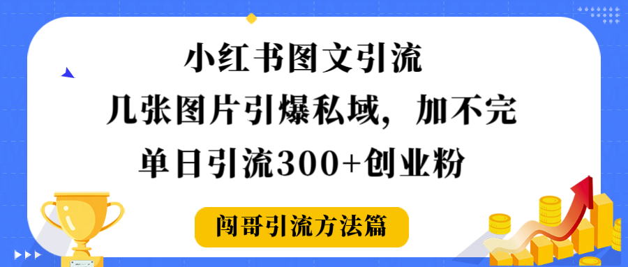 小红书图文引流，几张图片引爆私域加不完，单日引流300＋创业粉-小二项目网
