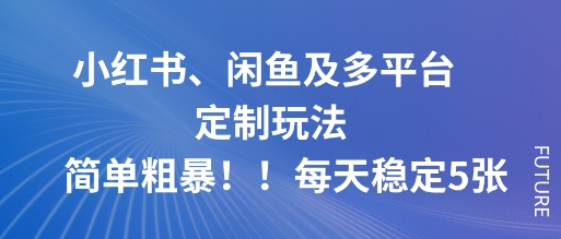 小红书、闲鱼及多平台定制玩法简单粗暴！每天稳定5张-小二项目网
