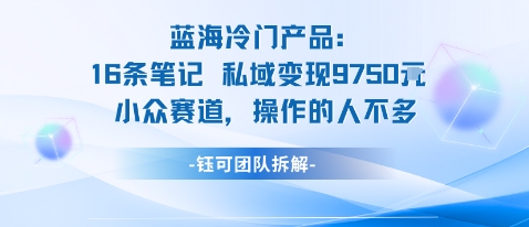 蓝海项目:16条笔记私域变现9750米小众赛道操作的人不多-小二项目网