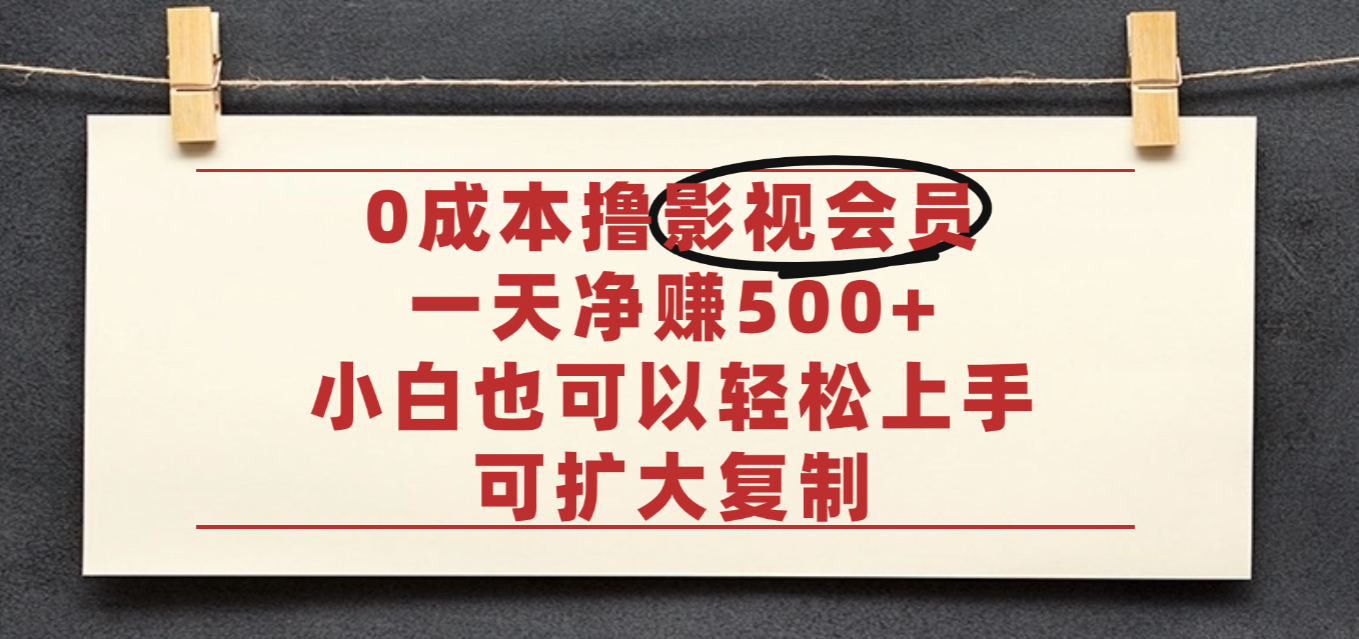 亲测，0成本可批量操作，靠卖影视会员实测月入30000+-小二项目网