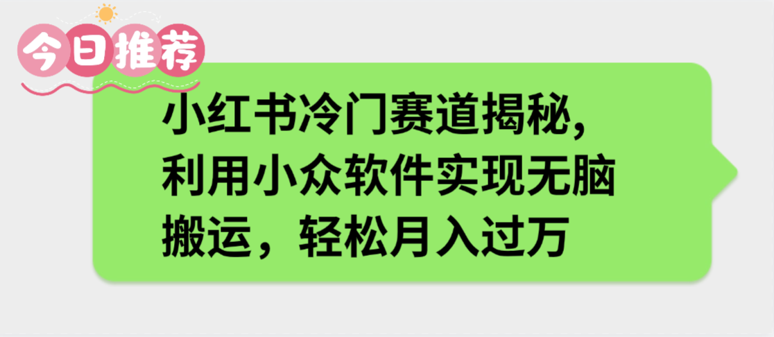 小红书冷门赛道揭秘,利用小众软件实现无脑搬运，轻松月入过万-小二项目网