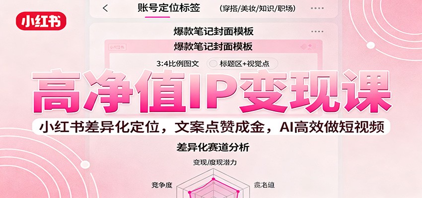 高净值IP变现课：小红书差异化定位，文案点赞成金， AI高效做短视频-小二项目网