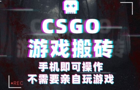 CSGO游戏挂G捡漏，单日扫货5张+，年底小高峰上车可吃肉，手机即可操作，兼职副业创业网创【揭秘】-小二项目网
