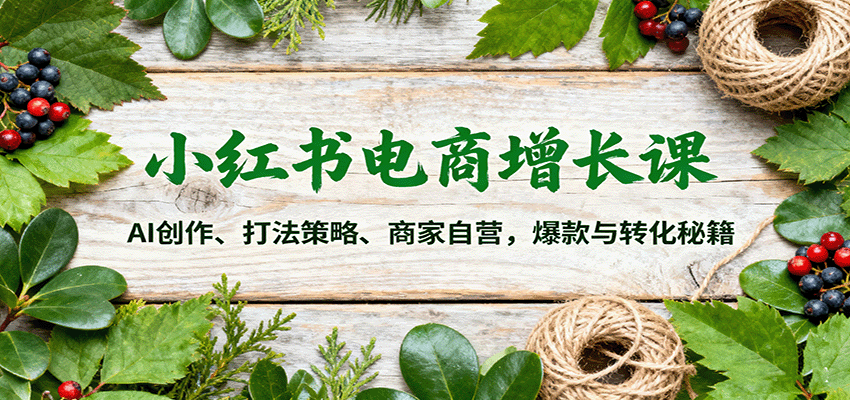 小红书电商增长课：AI创作、打法策略、商家自营，爆款与转化秘籍-小二项目网