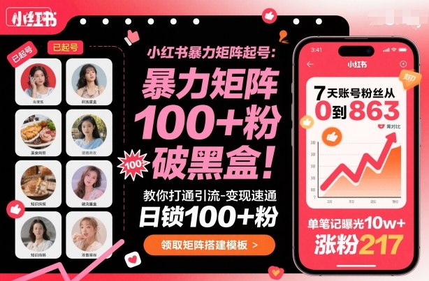 小红书暴力矩阵起号，教你打通引流-变现速通，日锁100+粉，破流量黑盒-小二项目网
