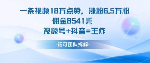 一条视频18W点赞,涨粉6.5W粉佣金8541米,视频号+抖音=王炸-小二项目网