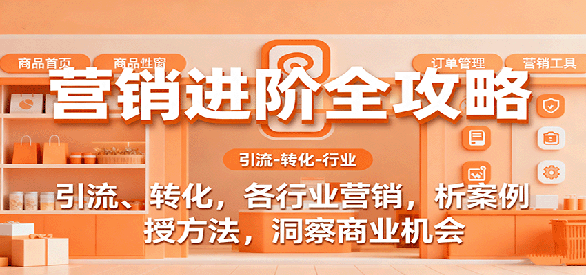 营销进阶全攻略，引流、转化，各行业营销，析案例，授方法，洞察商业机会-小二项目网