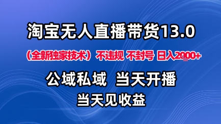 淘宝无人直播13.0，公域私域技术，不封号，不违规布局下半年旺季赛道，日入1K+（独家技术）【揭秘】-小二项目网
