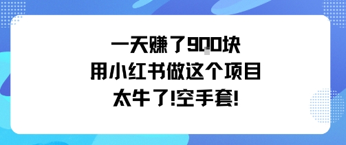 一天挣了9张用小红书做这个项目太牛了,空手套-小二项目网