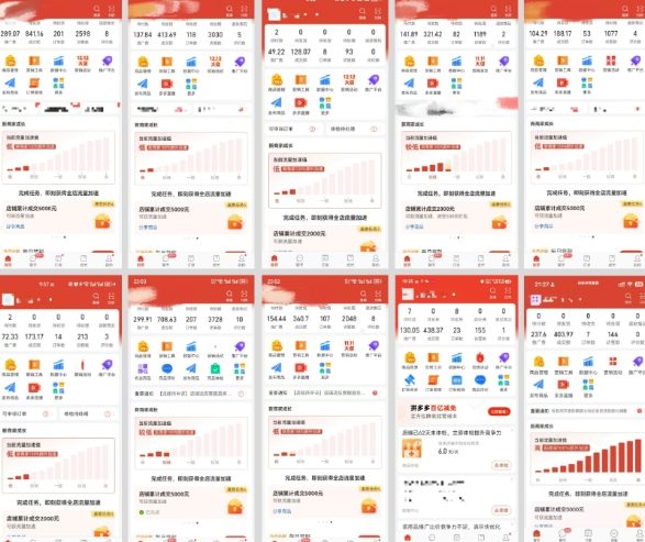 图片[3]-拼多多虚拟电商，门槛低，搬运上架，操作起来简单粗暴，单人单店三位数，可矩阵-小二项目网