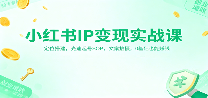 小红书IP变现实战课：定位搭建，光速起号SOP，文案拍摄，0基础也能赚钱-小二项目网