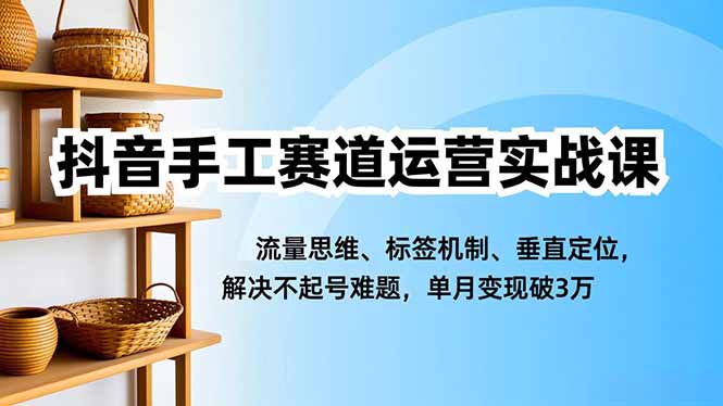 （16667期）抖音手工赛道运营实战课，流量思维、标签机制、垂直定位，解决不起号难题，单月变现破3万-小二项目网