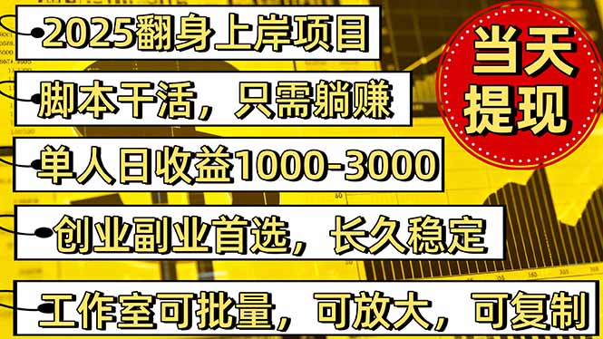 （16501期）2025翻身上岸项目脚本干活，内部客户经理内部开号，单人日收益1000-300…-小二项目网