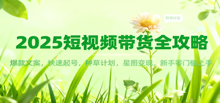 2025短视频带货全攻略：爆款文案，快速起号，种草计划，星图变现，新手零门槛上手-小二项目网