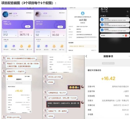 图片[2]-当天能收益的3个小项目拆解_包括平台+操作流程-小二项目网