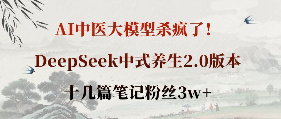 AI中医大模型杀疯了！DeepSeek中式养生2.0版本，十几篇笔记粉丝3w+-小二项目网