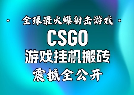 【年底大揭秘】基于全球最火爆的射击CSGO游戏挂G搬砖，日入5张+，震撼公开-小二项目网