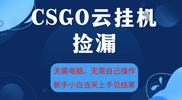 CSGO云挂G全自动捡漏，最新独家玩法，无需电脑操作，新手小白日入5张+【揭秘】-小二项目网