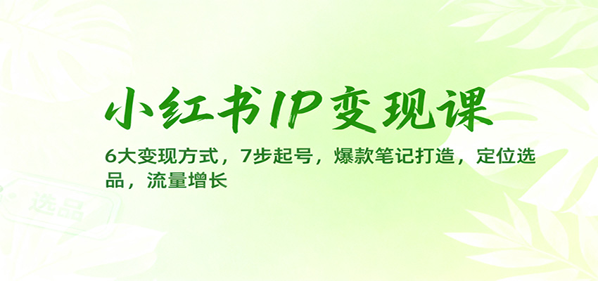 小红书IP变现课：6大变现方式，7步起号，爆款笔记打造，定位选品，流量增长-小二项目网