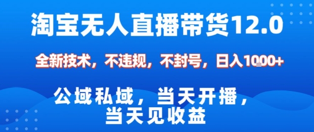 淘宝无人直播12.0，公域私域技术，不封号，不违规布局双十一流量风口，日入1k（独家技术）【揭秘】-小二项目网