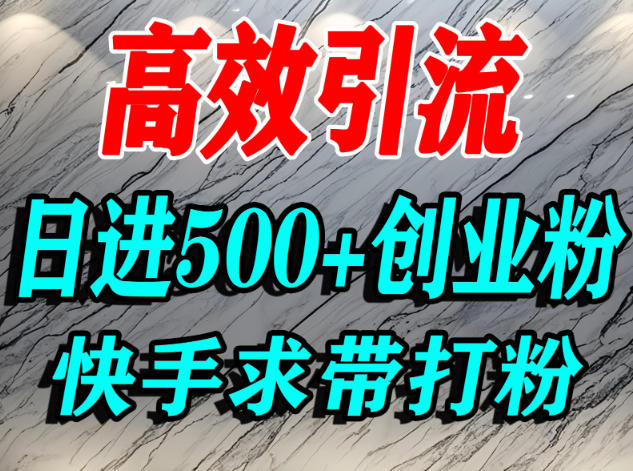 怎么打创业粉?快手求带视角精准引流创业粉,宝妈、学生群体日进500+精准流量-小二项目网