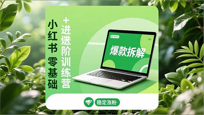 （16801期）小红书零基础+高阶训练营：安全养号、爆款拆解、长效运营，实现稳定涨粉与变现-小二项目网