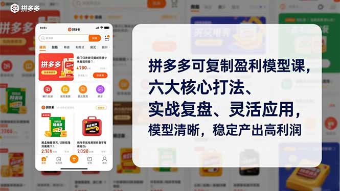 （16952期）拼多多可复制盈利模型课，六大核心打法、实战复盘、灵活应用，模型清晰，稳定产出高利润-小二项目网