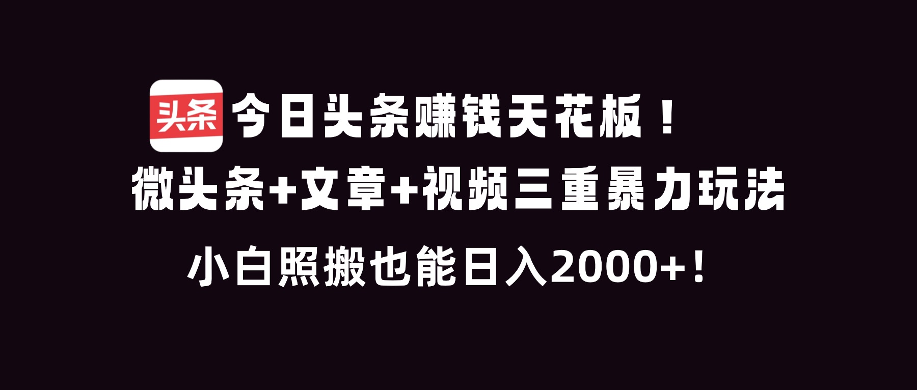 （16888期）今日头条赚钱天花板！微头条+文章+视频三重暴利玩法，小白照搬也能日人2000+-小二项目网
