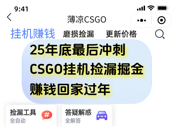 （16735期）12月年底抓紧最后一个月，用CSGO游戏挂机捡漏掘金赚钱掘金，一部手机轻松日入500+-小二项目网
