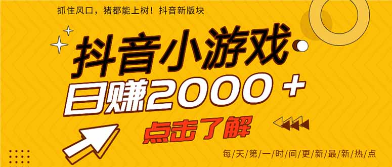 （16724期）25年爆火的抖音小游戏项目，一部手机日入2000+-小二项目网