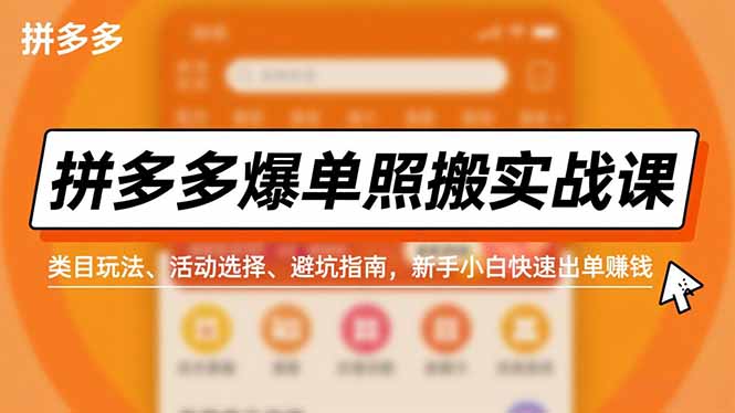 （16838期）拼多多爆单照搬实战课，类目玩法、活动选择、避坑指南，新手小白快速出单赚钱-小二项目网