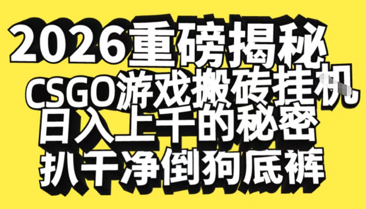 2026开年重磅解密，CSGO游戏搬砖挂G日入1k+的秘密，把倒狗的底裤扒干【揭秘】-小二项目网