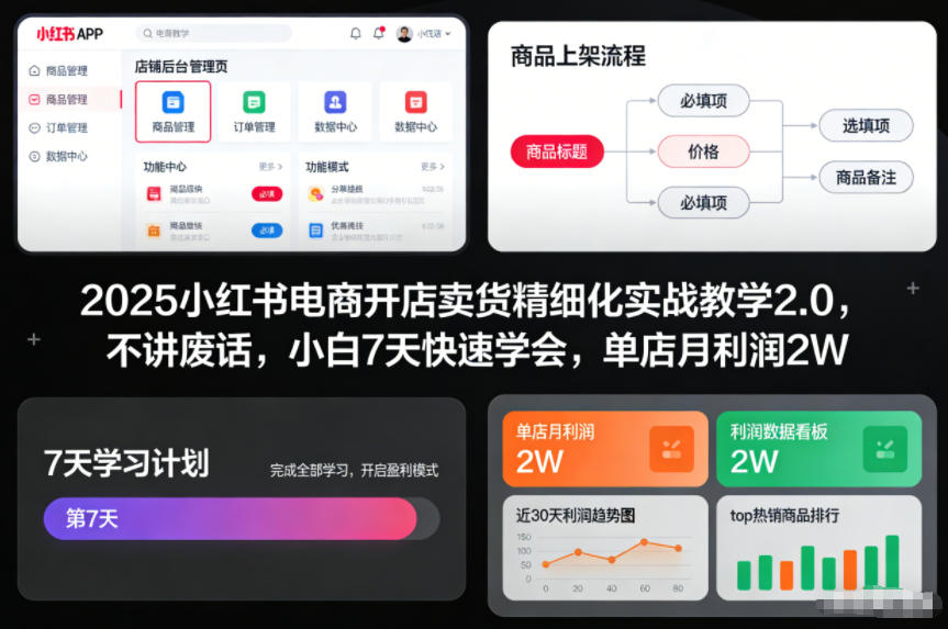 2025小红书电商开店卖货精细化实战教学2.0，不讲废话，小白7天快速学会，单店月利润2W-小二项目网