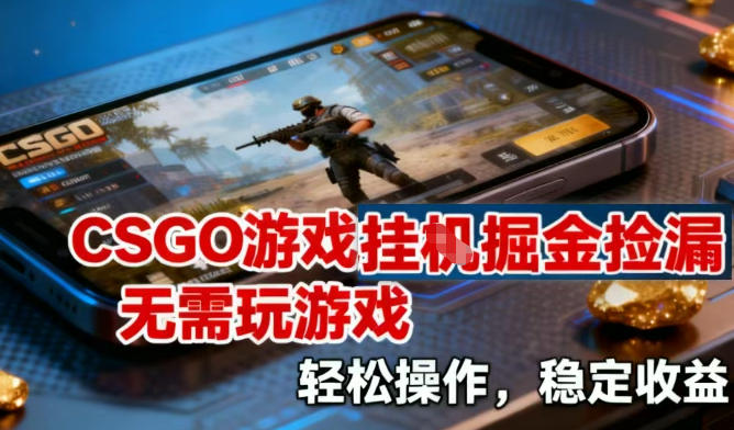 CSGO游戏挂G掘金捡漏，不需要玩游戏，操作简单，收益稳定【揭秘】-小二项目网