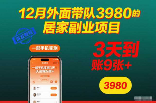 12月外面带队3980的居家副业项目，一部手机实测3天到账9张+，首发教程【揭秘】-小二项目网